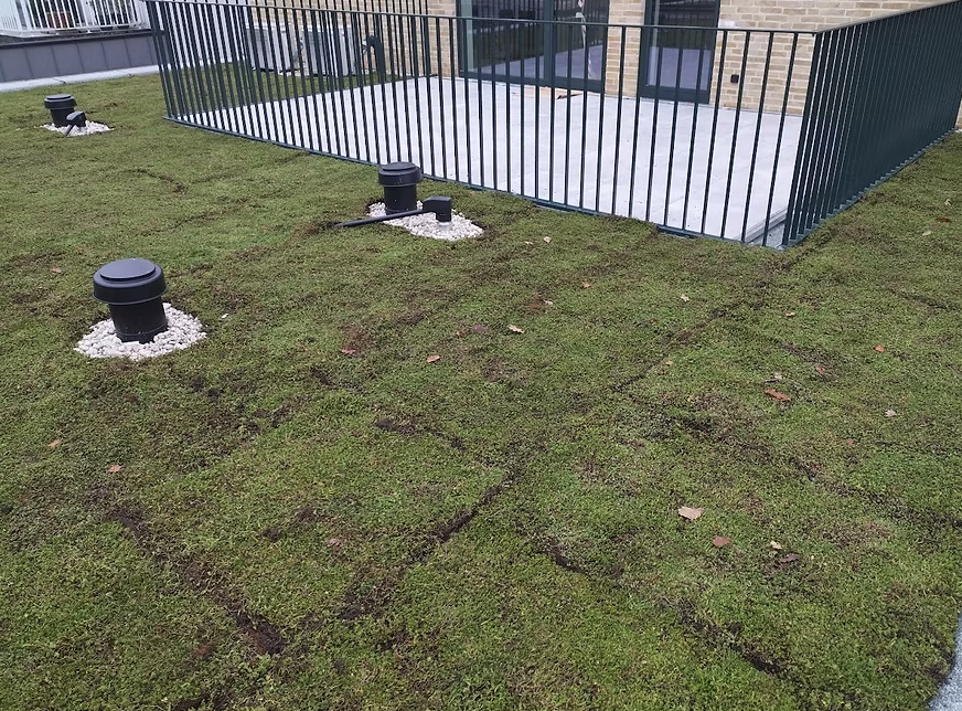 Extensief groendak met sedum en dakdoorvoeren op nieuwbouwproject — samenwerking met Future-Build.be